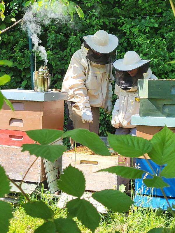 Zwei Imker mit Smoker am Bienenstock